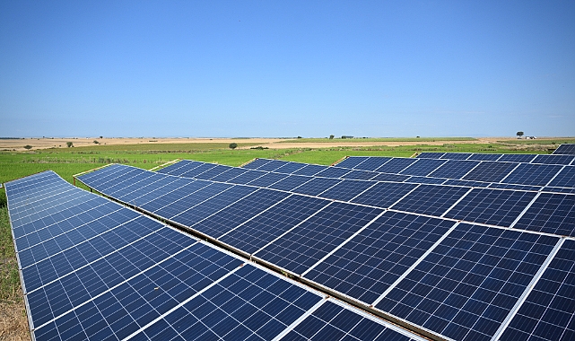 Havsa’da Güneş Enerjisiyle Çeltik Bereketİ