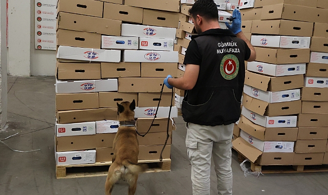 Kapıkule'de Yarım Ton Uyuşturucu