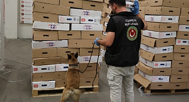 Kapıkule'de Yarım Ton Uyuşturucu