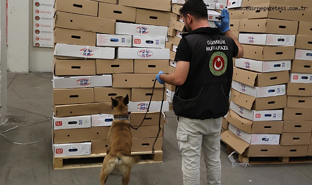 Kapıkule'de Yarım Ton Uyuşturucu