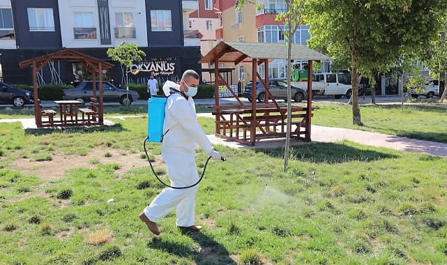 Kene ve Pireye Karşı İlaçlama Seferberliği