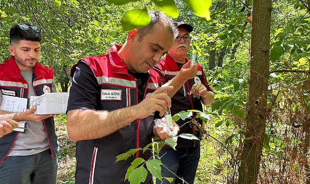 Samuray Arıları Göreve Başladı