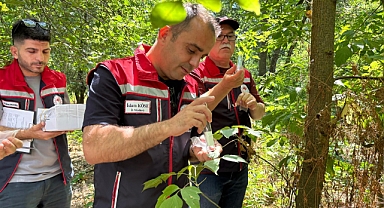 Samuray Arıları Göreve Başladı
