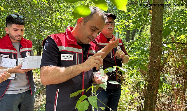 Samuray Arıları Göreve Başladı