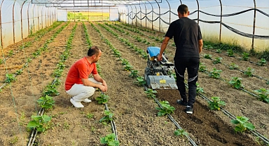 Tarımda Hibe Desteğiyle Verim Artıyor
