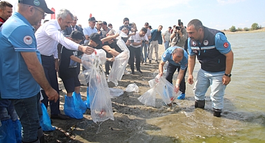 1 milyon 200 bin sazan yavrusu bırakılacak
