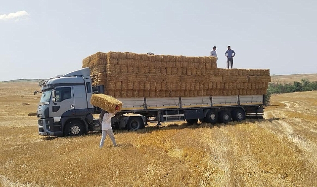 1200 Balya Saman Desteği