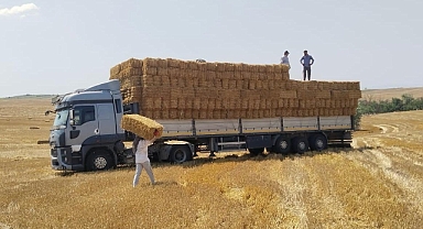 1200 Balya Saman Desteği