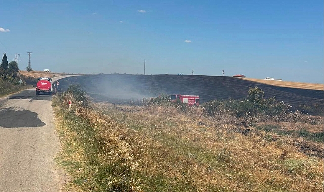 150 dekar tarım arazisi zarar gördü