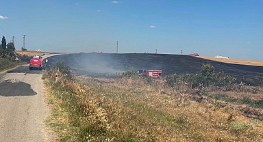 150 dekar tarım arazisi zarar gördü