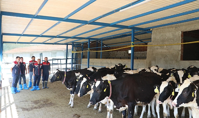 Bir İşletme Daha “Hastalıktan Ari” Sertifikası Aldı