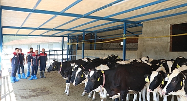 Bir İşletme Daha “Hastalıktan Ari” Sertifikası Aldı