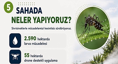 Edirne’de Sivrisinekle Mücadele Aralıksız Sürüyor