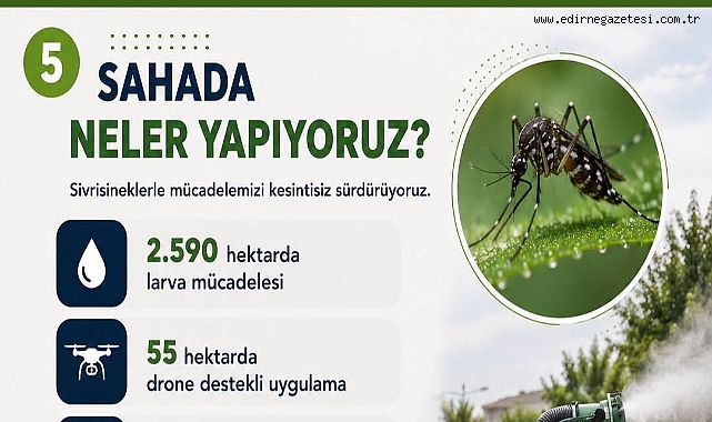 Edirne’de Sivrisinekle Mücadele Aralıksız Sürüyor