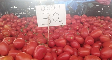 Edirneliler Kışlık Telaşında