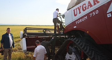 Gizligider, Edirne'de çeltik hasadına katıldı
