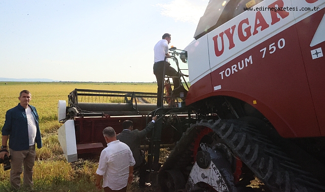 Gizligider, Edirne'de çeltik hasadına katıldı