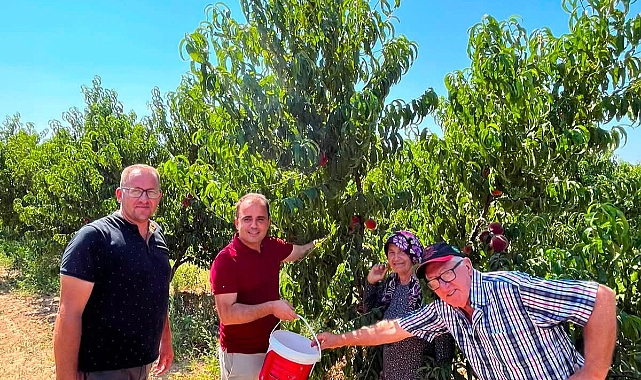 İpsala’da Şeftali Hasadı Gerçekleştirildi