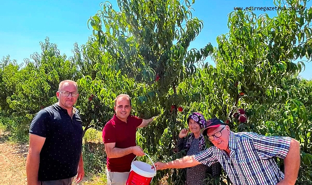 İpsala’da Şeftali Hasadı Gerçekleştirildi