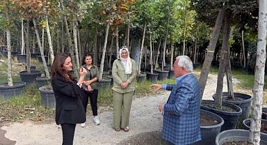 İpsala’ya Ihlamur Ağacı Desteği