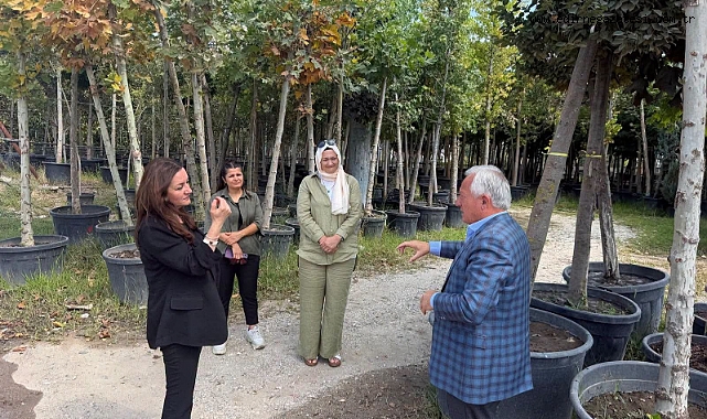 İpsala’ya Ihlamur Ağacı Desteği