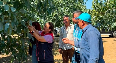 Karaağaç Köyü’nde Ceviz Bahçelerinde Bitki Sağlığı Kontrolü