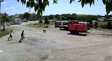 Kaza kovalamaca ve yakalandılar