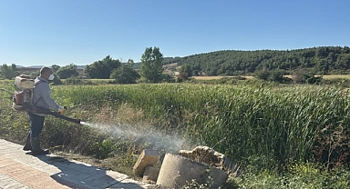 Keşan’da Sivrisinekle Mücadele Sürüyor