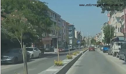 Kıyık Refüjleri Şimdi Tamam