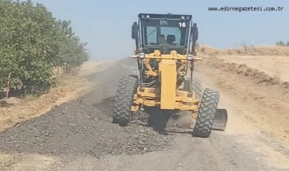 Oğulpaşa Köyü Yolunda Bakım ve Onarım Çalışmaları Başladı