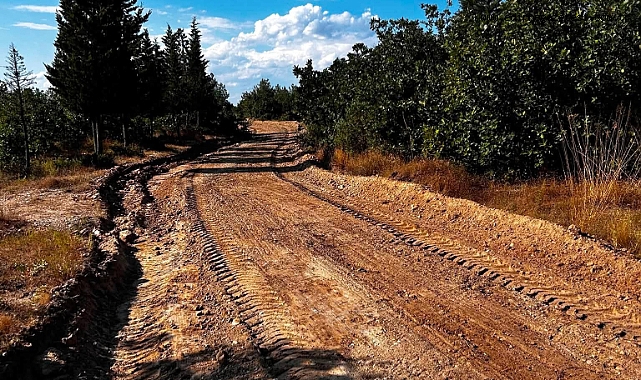 Orman Yollarına Yangın Mesaisi