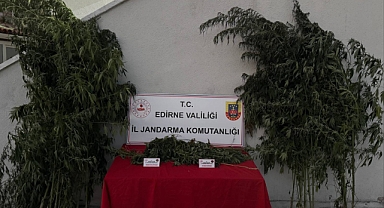 Uzunköprü’de Kenevir Operasyonu