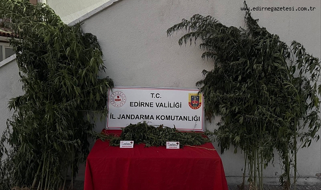 Uzunköprü’de Kenevir Operasyonu