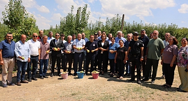 Uzunköprü’de Santa Maria Armut Hasadı Başladı