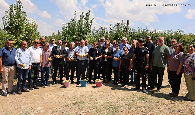 Uzunköprü’de Santa Maria Armut Hasadı Başladı