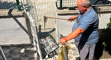 Yakamoz Sitesi'nde yılanlar tedirginliğe neden oldu