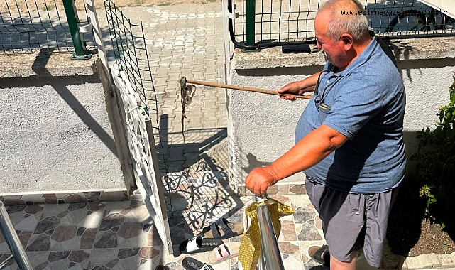 Yakamoz Sitesi'nde yılanlar tedirginliğe neden oldu