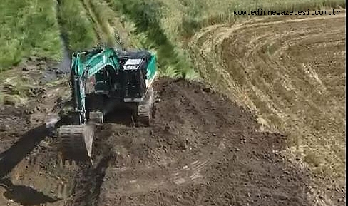 Yeşil Karıncalar Tatarlar'da İş Başında