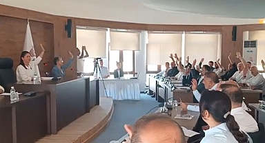 Yetki Oy Birliğiyle Verildi