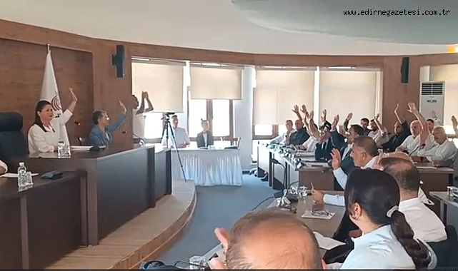 Yetki Oy Birliğiyle Verildi