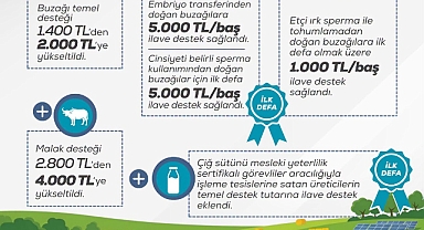 BÜYÜKBAŞA DESTEK ÜRETIME BEREKET