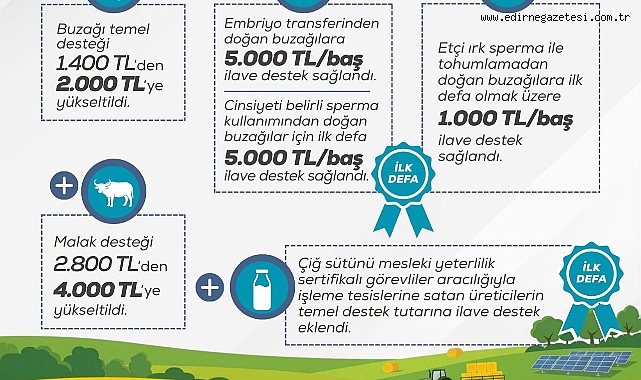 BÜYÜKBAŞA DESTEK ÜRETIME BEREKET