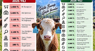 BUZAĞI DESTEKLERİYLE HAYVANCILIĞA GÜÇLÜ KATKI