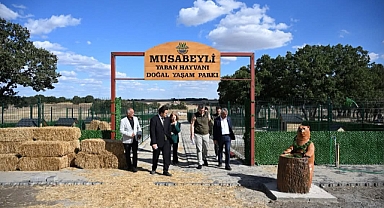 Doğal Yaşam Parkı’nda Çalışmalar Sürüyor