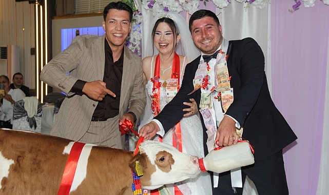 Düğünde Takı Yerine Buzağı