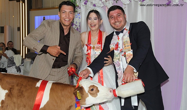 Düğünde Takı Yerine Buzağı