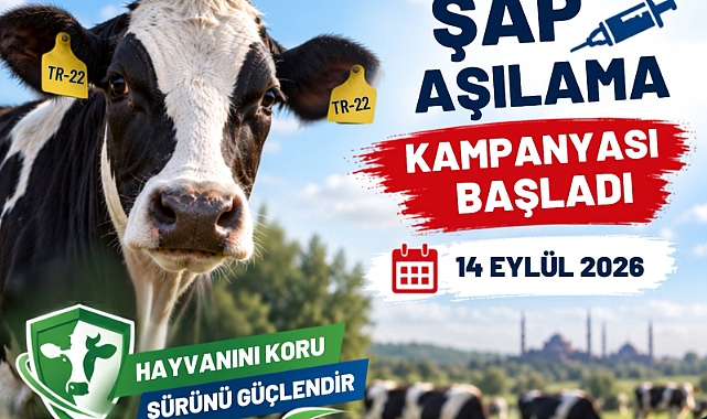Edirne'de şap aşılama kampanyası başladı