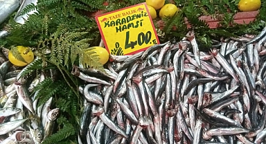 Hamsi Cep Yaktı, Palamut Öne Çıktı