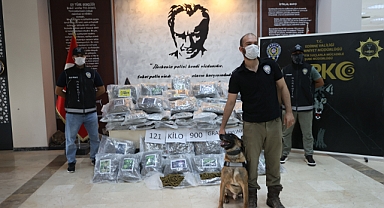 Hamzabeyli'de 121 kilo 900 gram skunk ele geçirildi