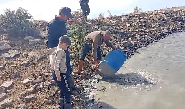 Kanallarda Mahsur Kalan Balıklar Kurtarıldı